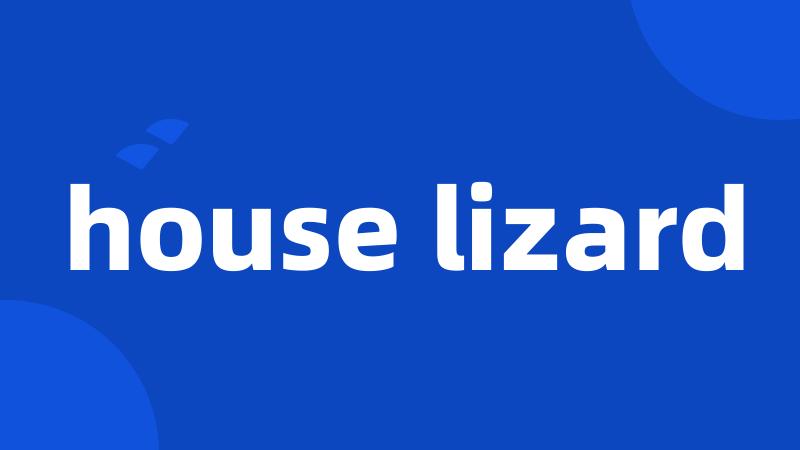 house lizard