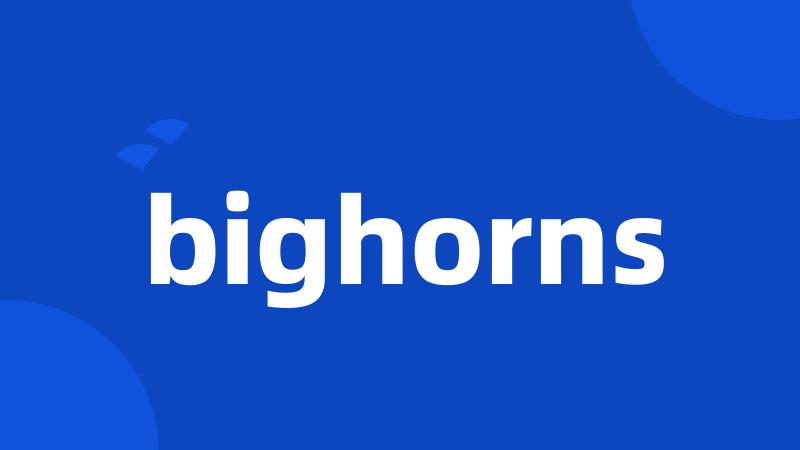 bighorns