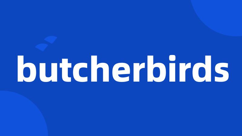 butcherbirds