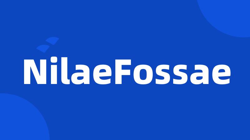 NilaeFossae