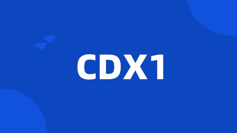 CDX1