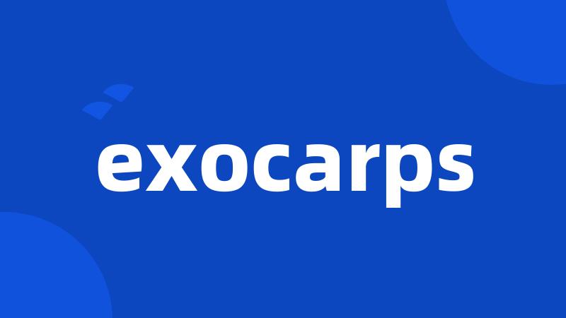 exocarps