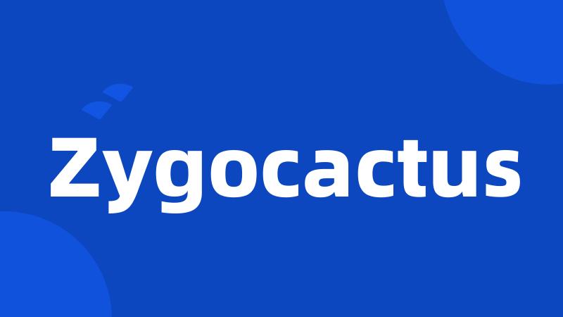 Zygocactus