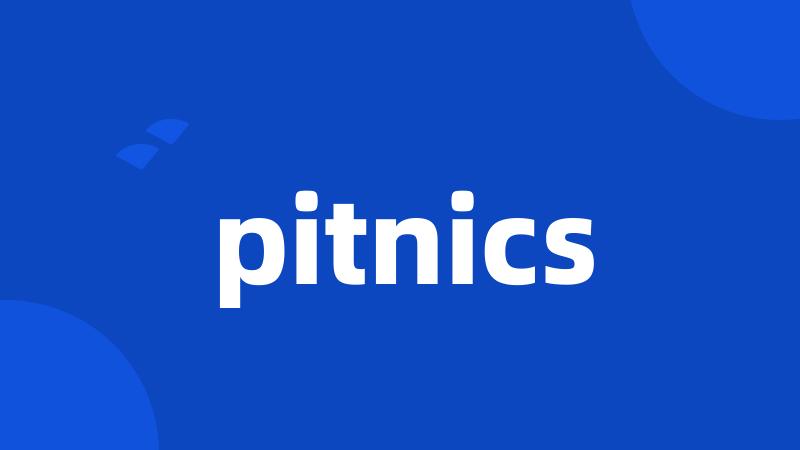 pitnics