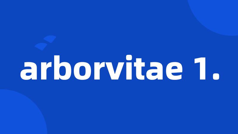 arborvitae 1.