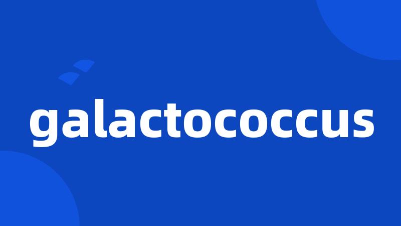 galactococcus