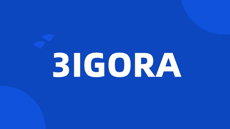 3IGORA