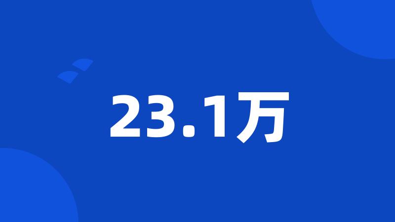 23.1万