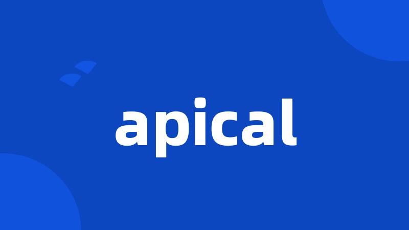 apical