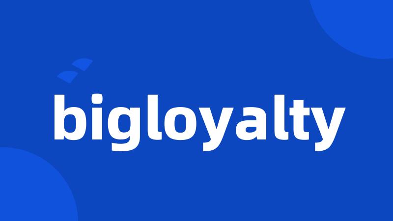 bigloyalty