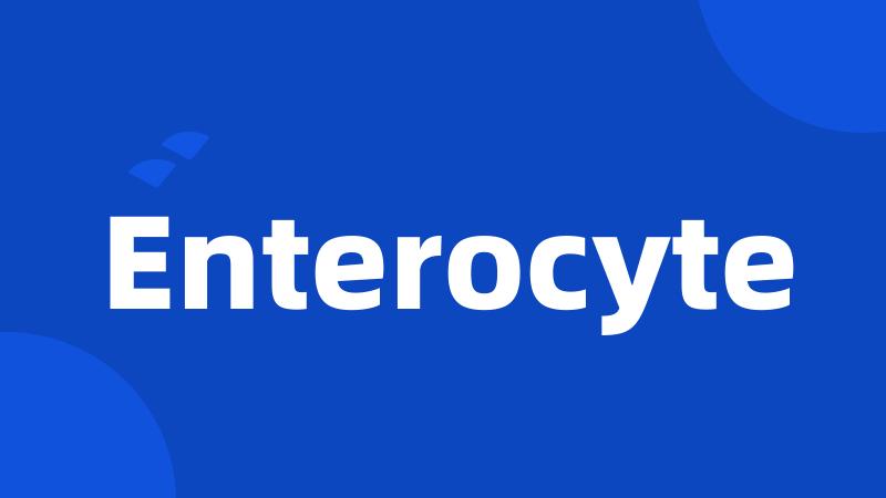 Enterocyte