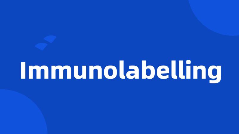 Immunolabelling