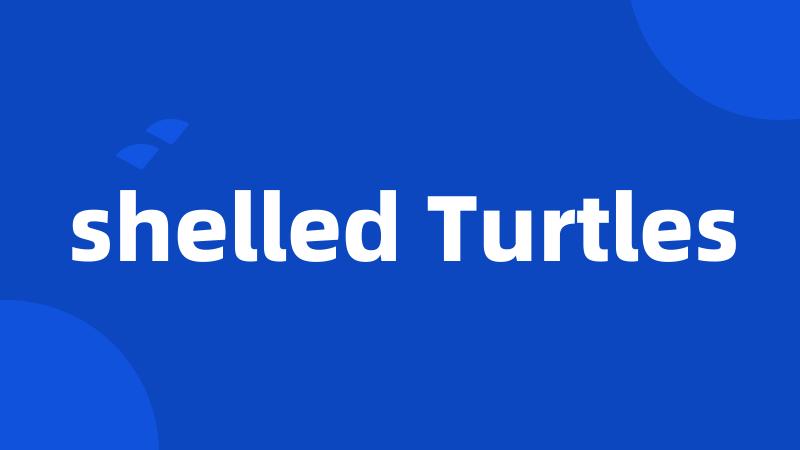 shelled Turtles