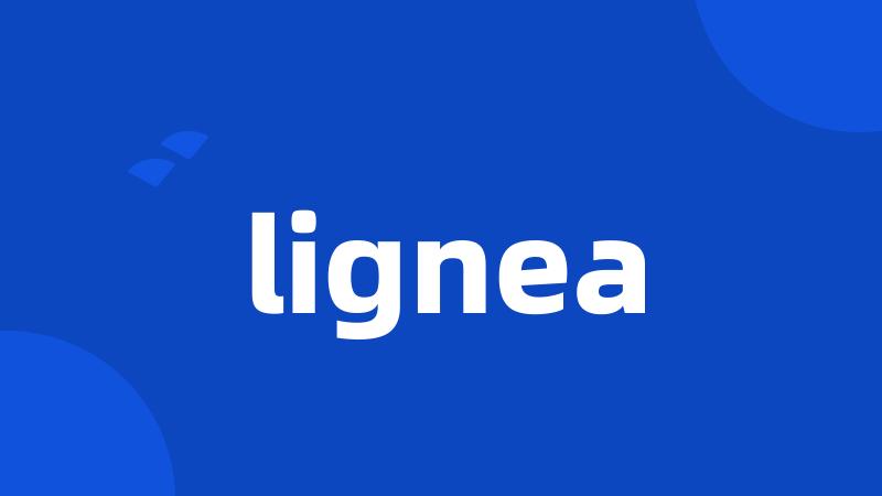 lignea