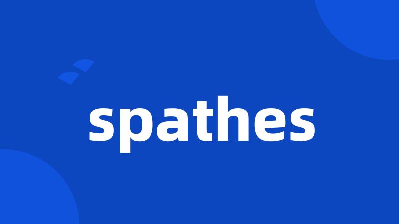 spathes