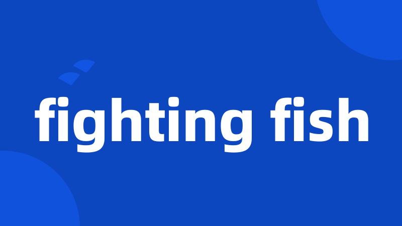 fighting fish