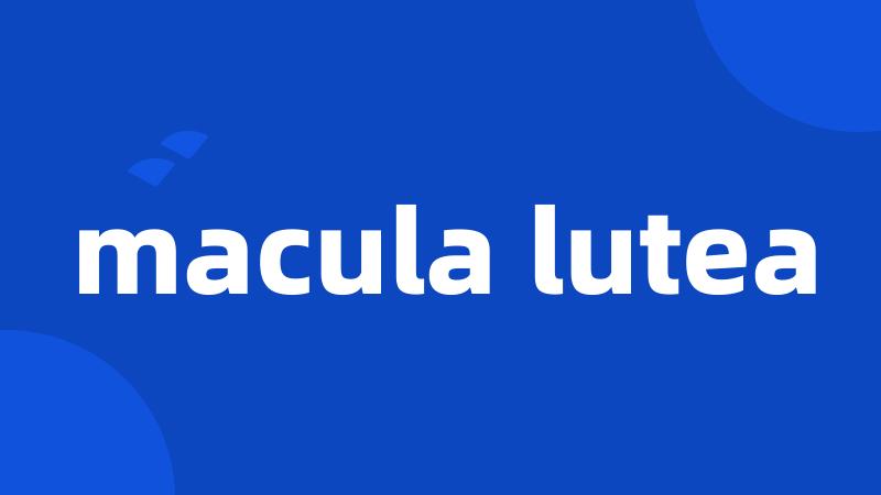 macula lutea