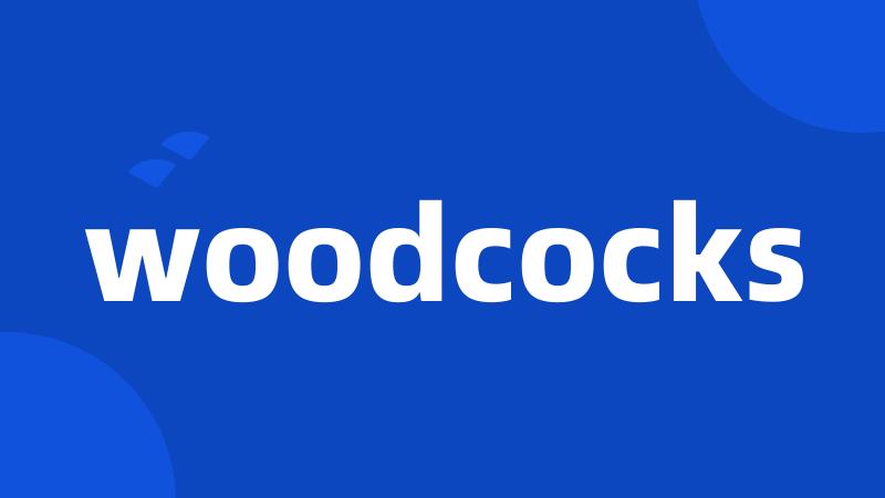 woodcocks