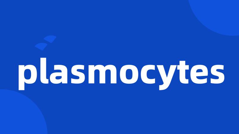 plasmocytes