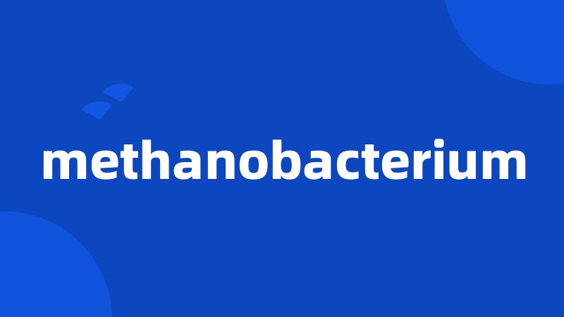 methanobacterium