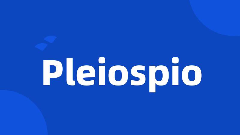 Pleiospio