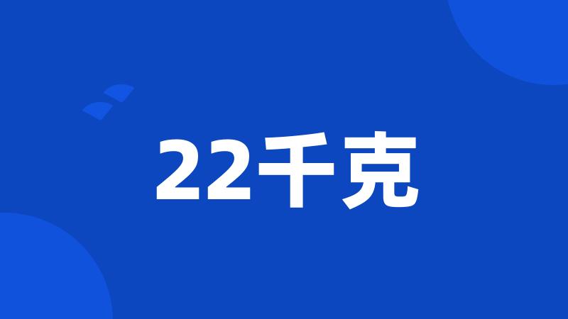 22千克