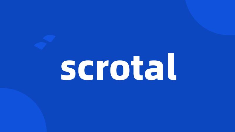 scrotal