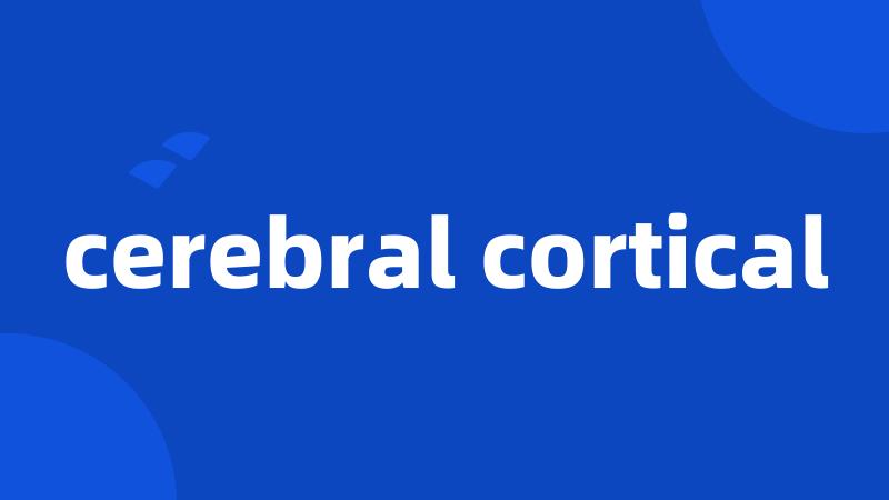 cerebral cortical