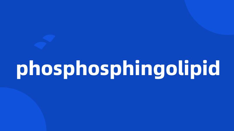 phosphosphingolipid