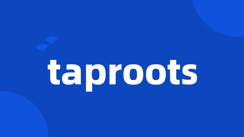 taproots