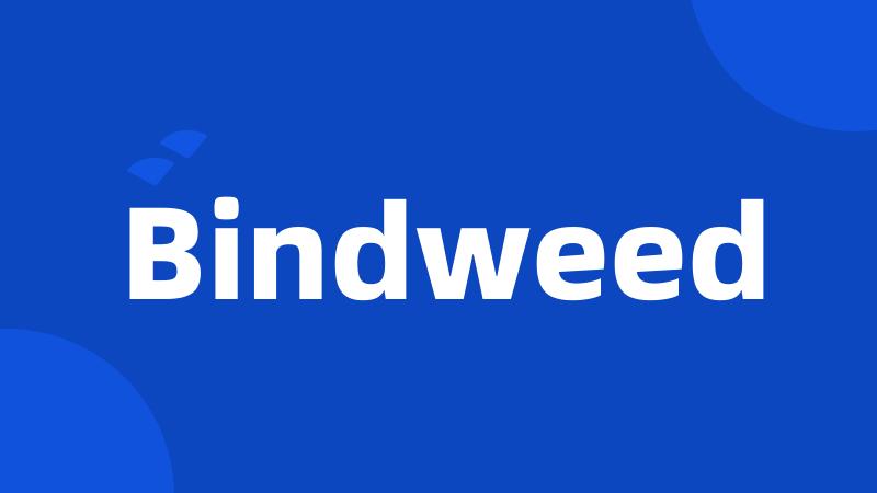 Bindweed