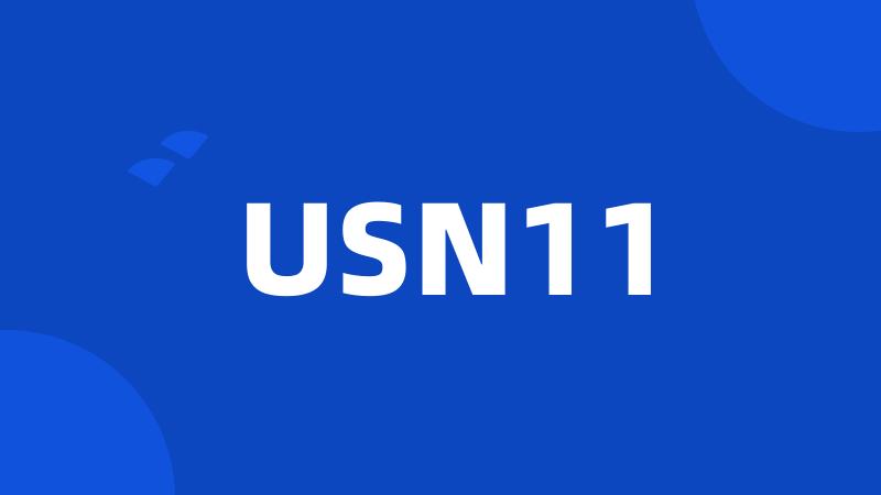 USN11