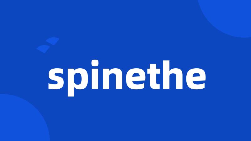 spinethe