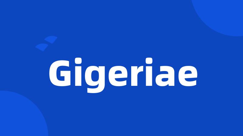Gigeriae