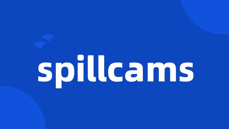 spillcams