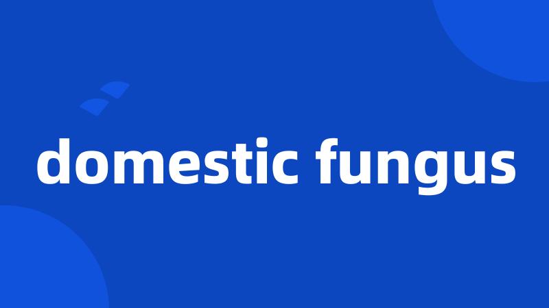 domestic fungus