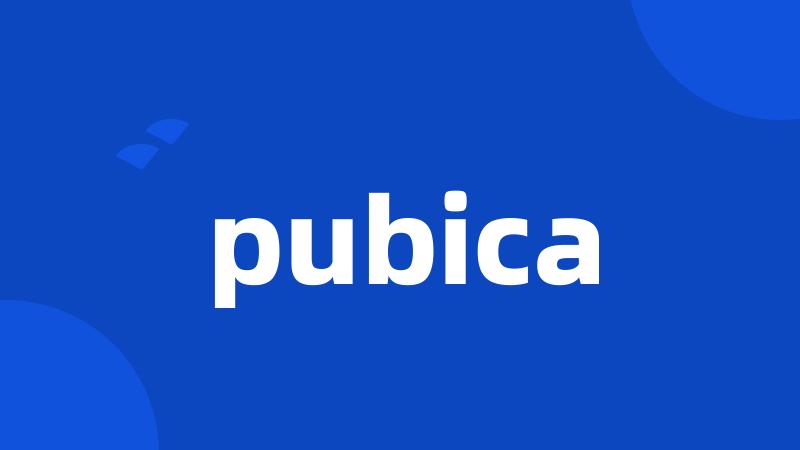 pubica