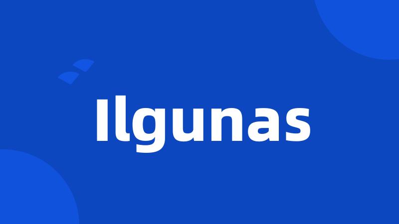 Ilgunas