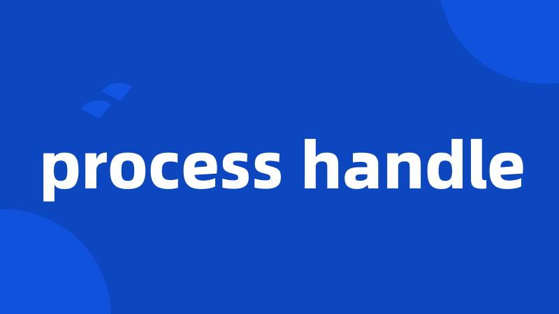 process handle