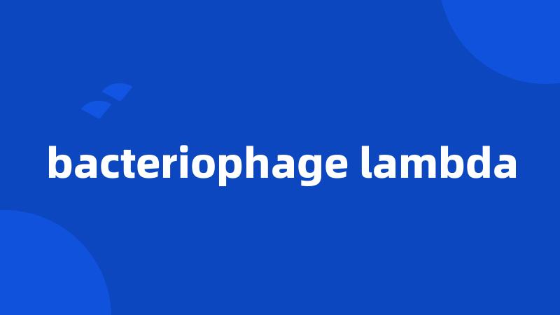 bacteriophage lambda