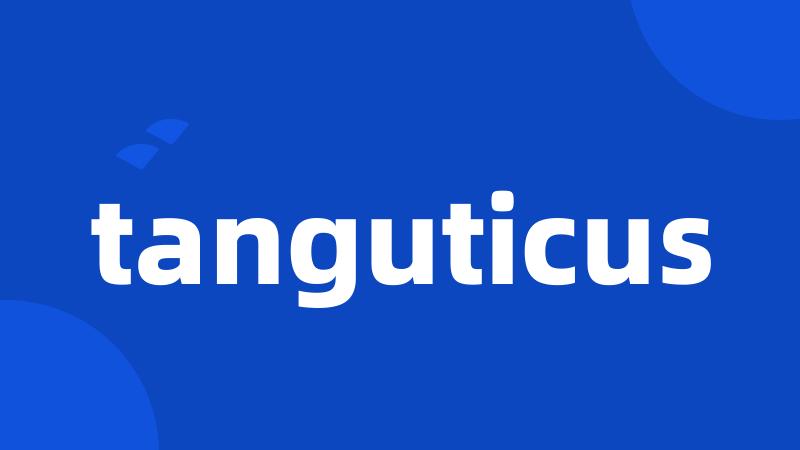 tanguticus