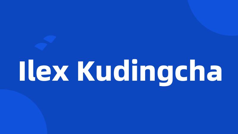 Ilex Kudingcha