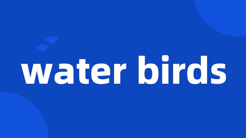 water birds