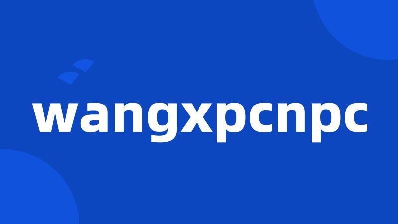 wangxpcnpc