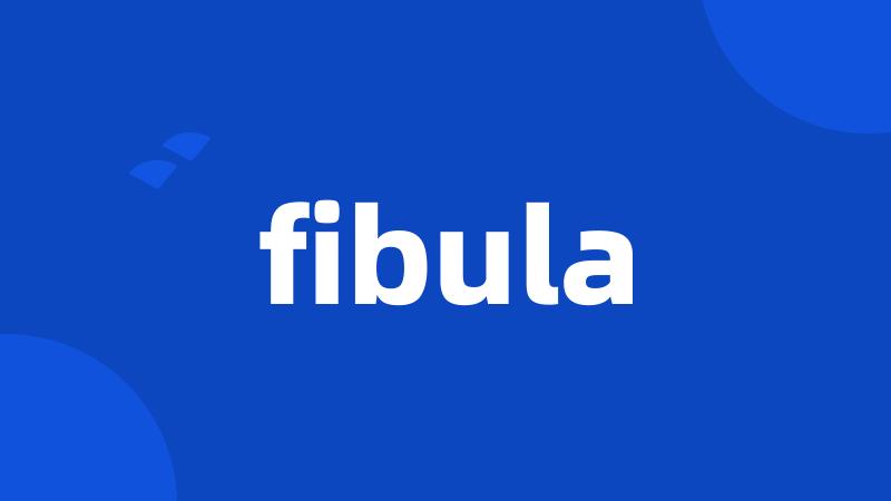 fibula