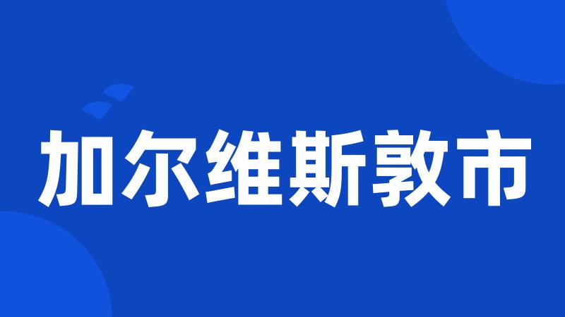 加尔维斯敦市