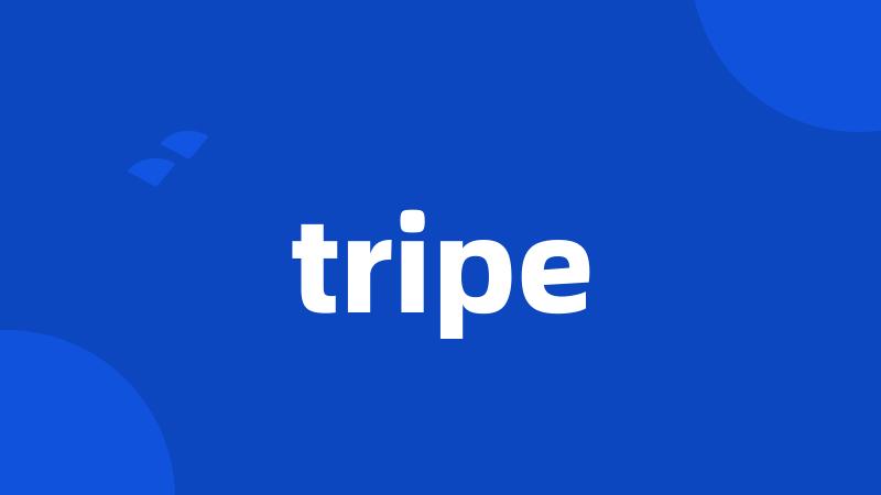 tripe