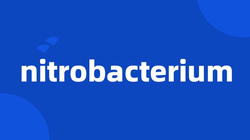 nitrobacterium