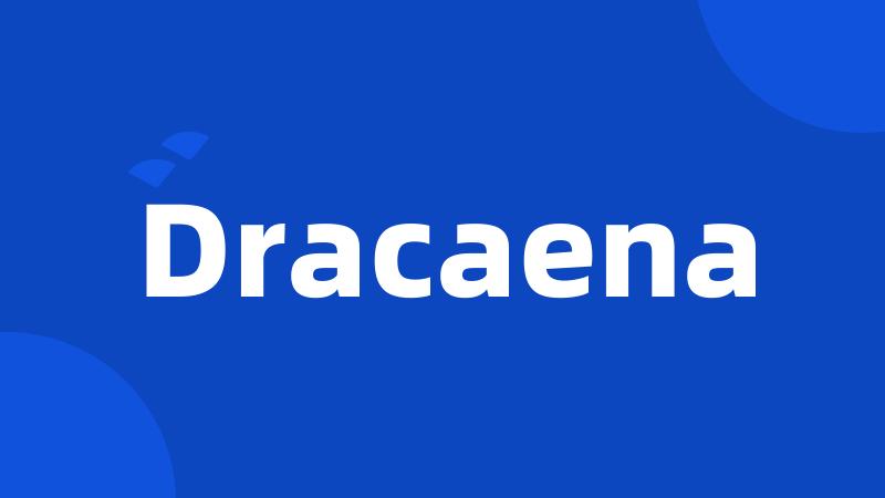 Dracaena