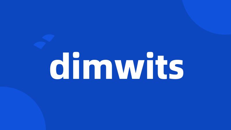 dimwits